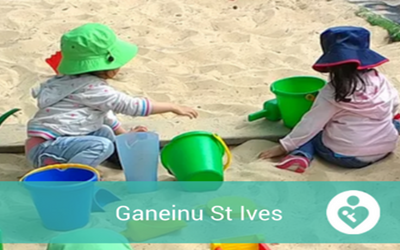 BubDesk St Ives - Ganeinu